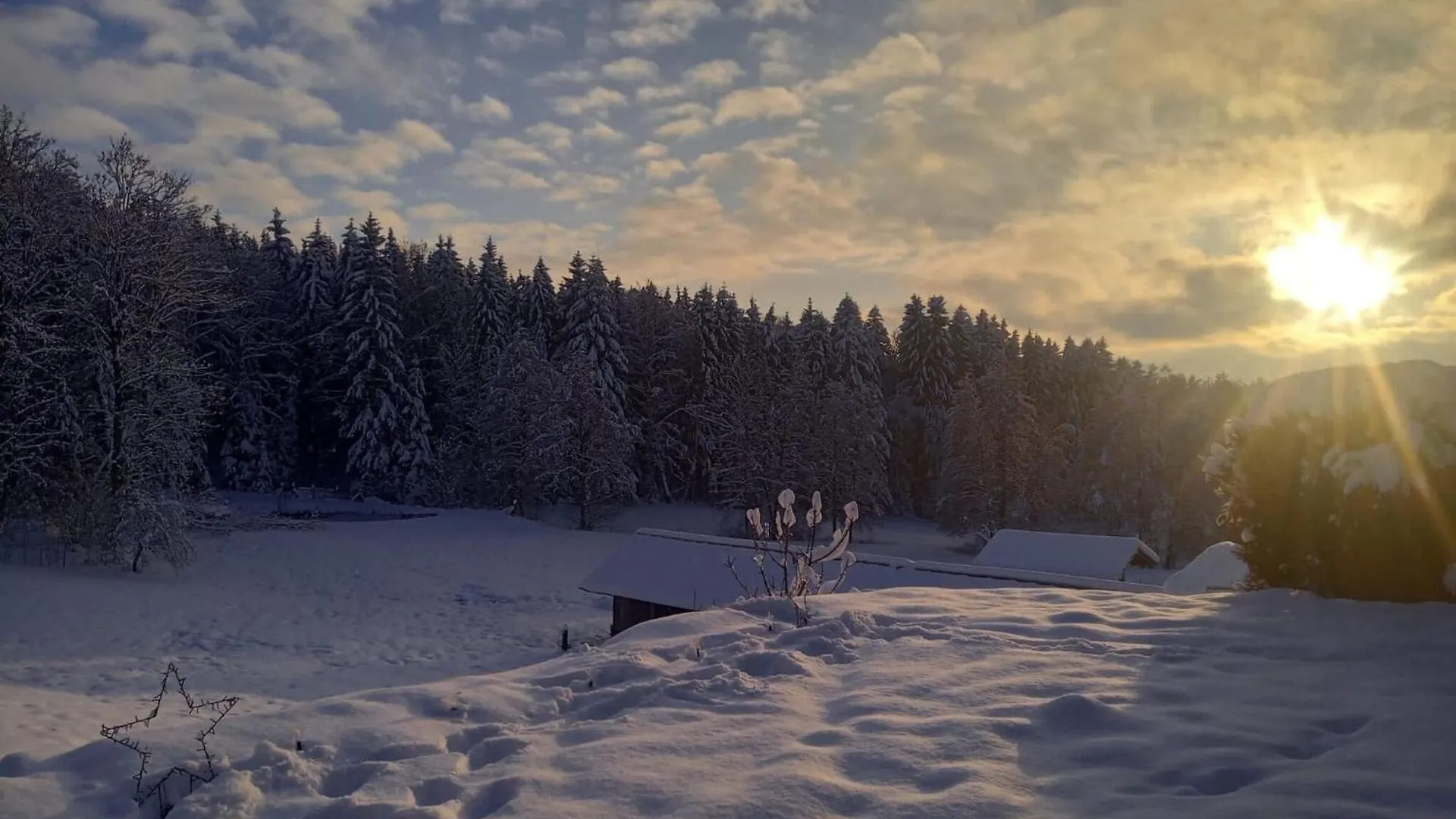 Ferienwohnung Im Bayerischen Wald Mit Terrasse Viechtach Apartment
