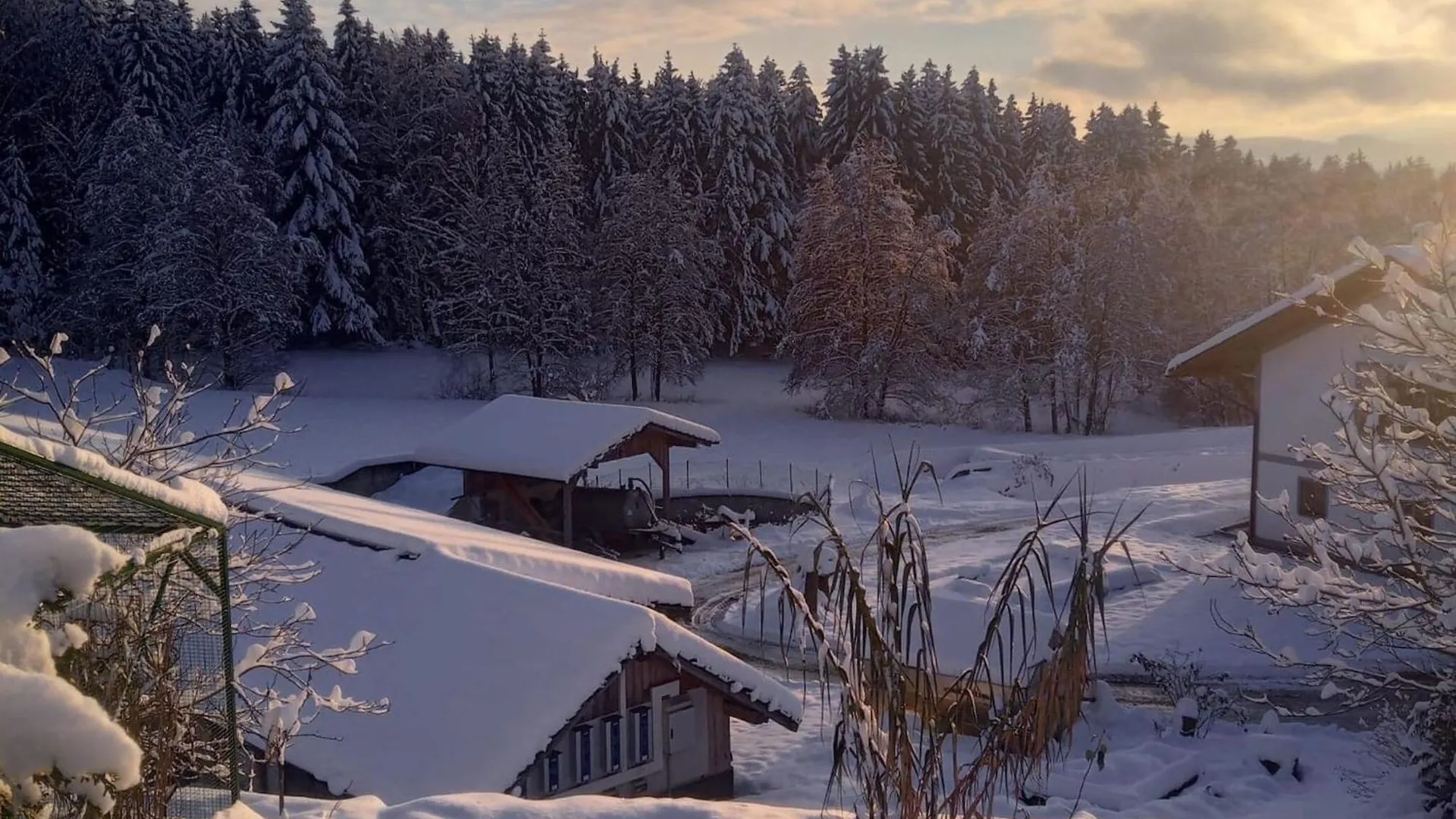 Ferienwohnung Im Bayerischen Wald Mit Terrasse Viechtach